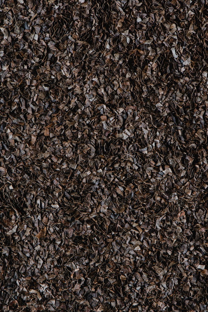 Detailed close-up texture of buckwheat bran, ideal for backgrounds and textures.
