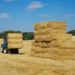 toortatrakestad (3kg)